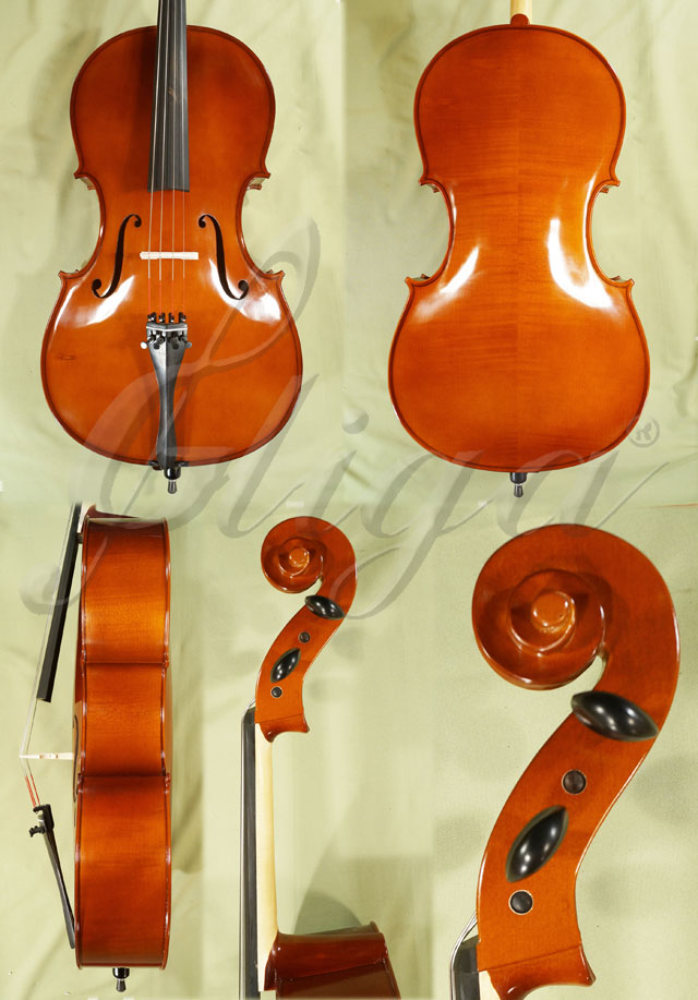 Gliga Nitro-2 7/8 Cello
