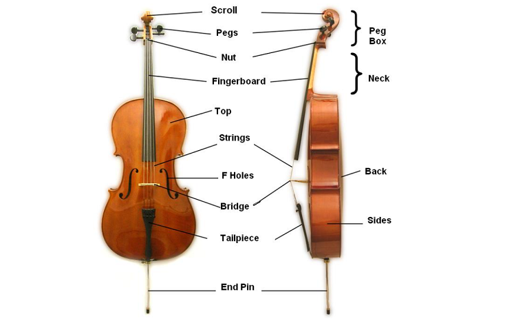 Cello Parts