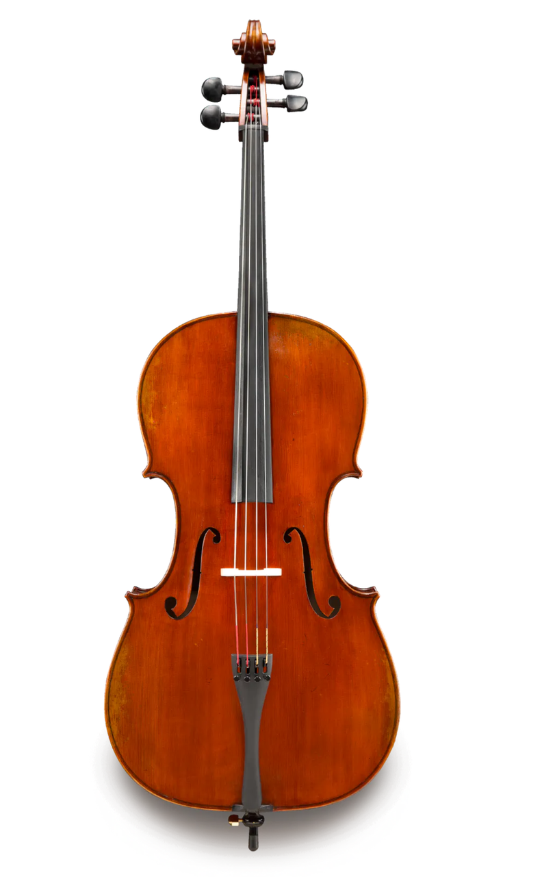 Eastman Albert Nebel VC601+ Cello