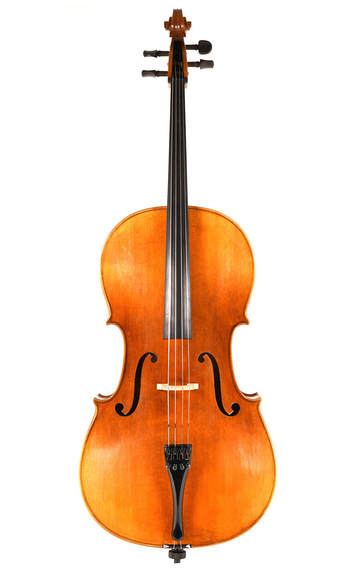 corilon cello