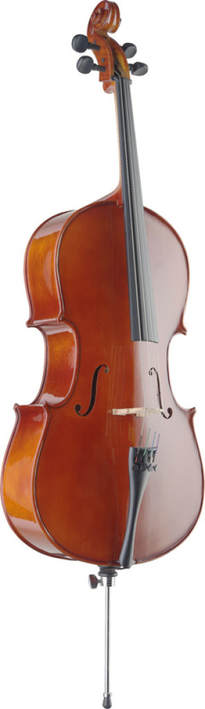 stagg cello