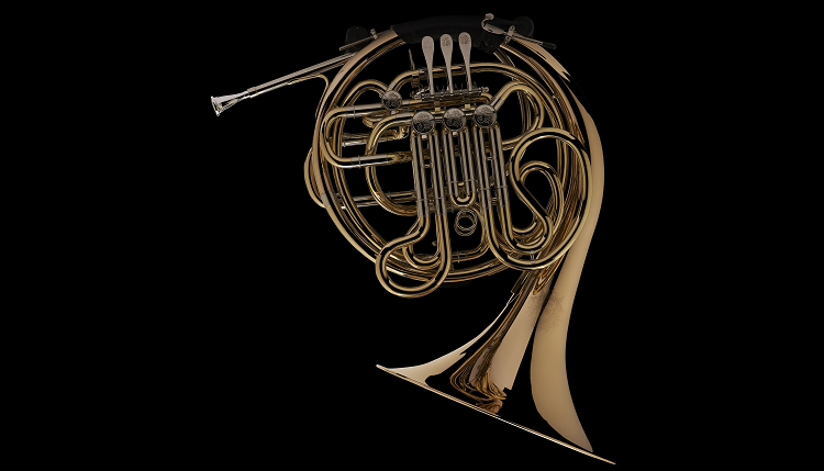 Wessex B♭/F Double French Horn – FH601