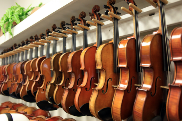 Violin Store