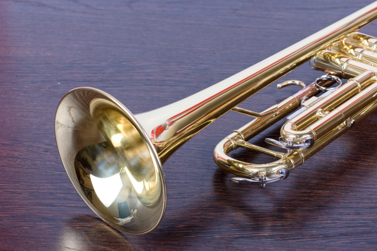 trumpet bell